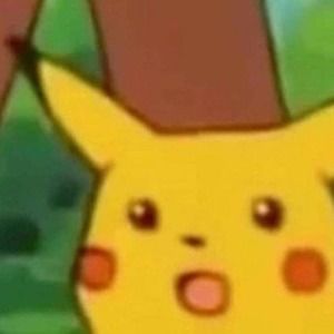 Meet your Posher, The